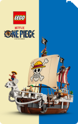 LEGO® One Piece
